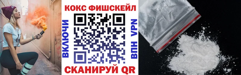 COCAIN Fish Scale  купить   Корсаков 