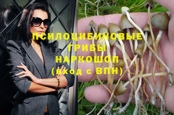 хмурый Белоозёрский