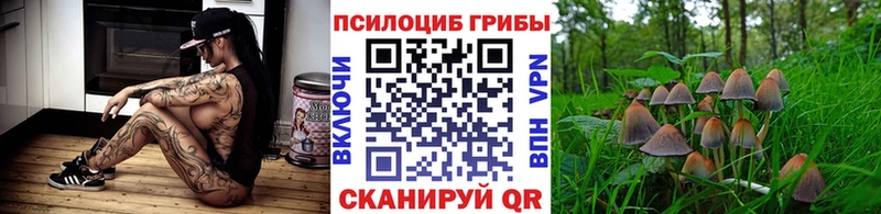 OMG как зайти  площадка наркотические препараты  Корсаков  Псилоцибиновые грибы прущие грибы  закладка 